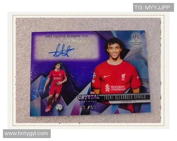 动漫足球球星阿诺德的成长历程与赛场风采解析